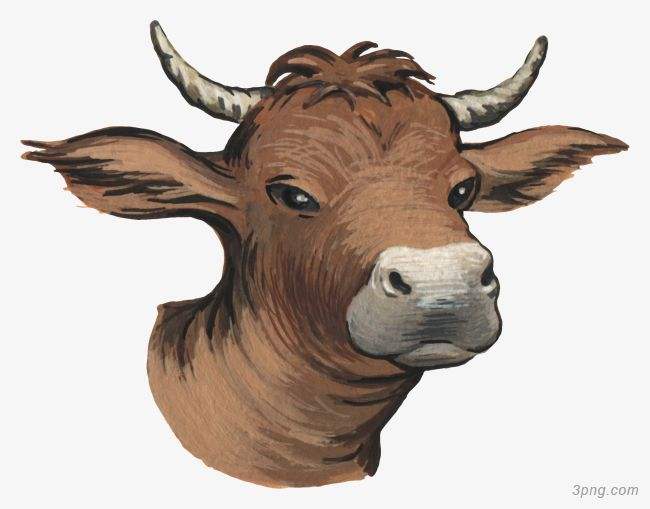 吉林市舒蘭市天德鄉(xiāng)反芻技術(shù)交流會(huì)圓滿成功！