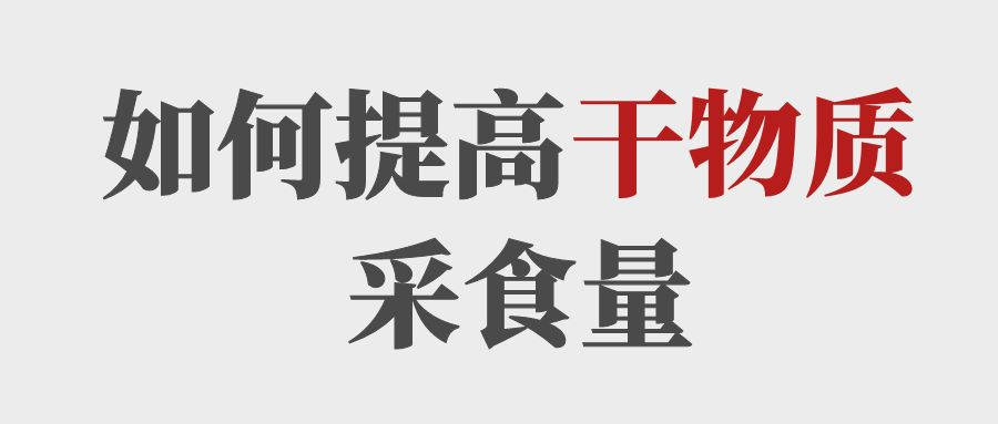 做到這5點(diǎn)提高育肥牛的干物質(zhì)采食量！